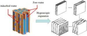 Image detailing hygroscopic expansion